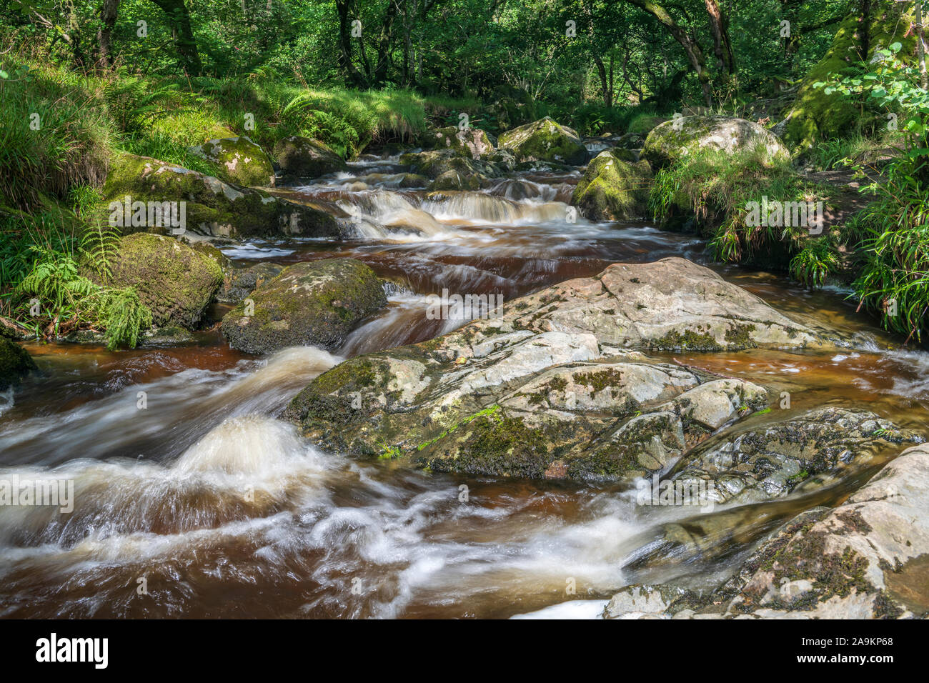 After a late summer shower, one of the many streams in the Lake District flows freely over moss covered bolders as it meanders through the fells of No Stock Photo