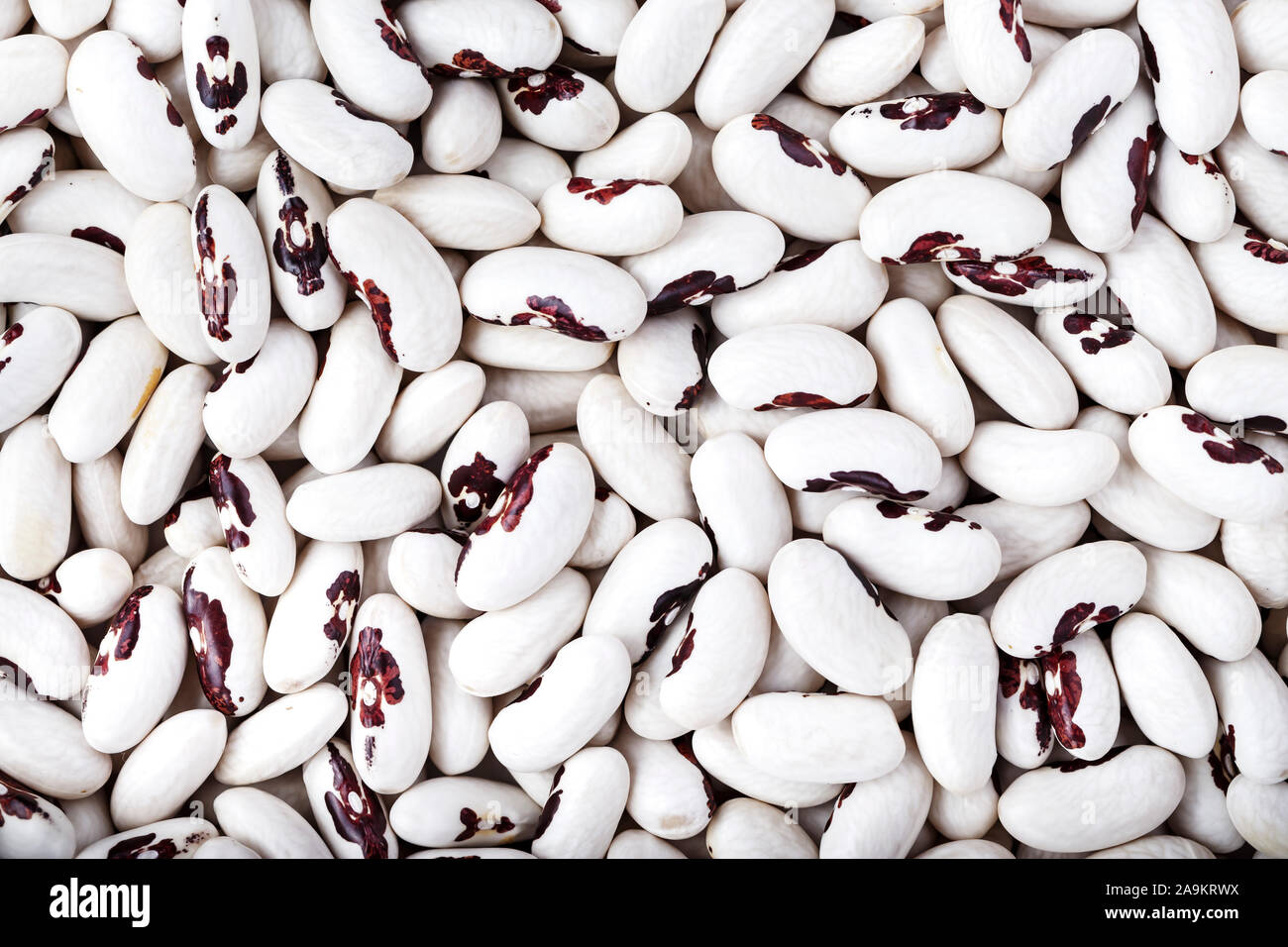 raw blackeyed kidney beans sprinkled as a backdrop. clearly visible