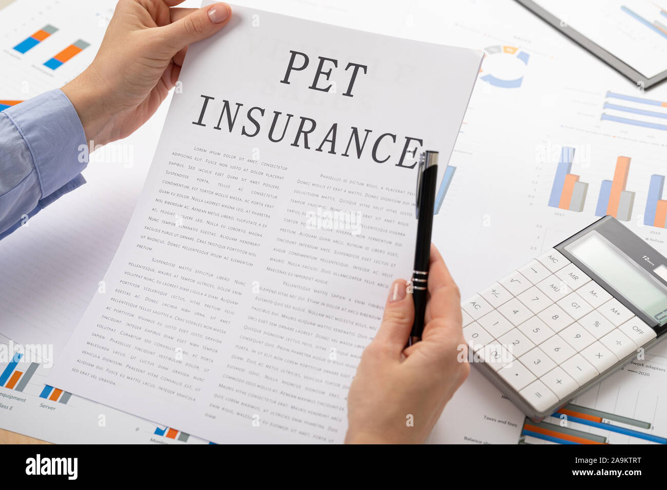 pet insurance concept, documents on the desktop Stock Photo