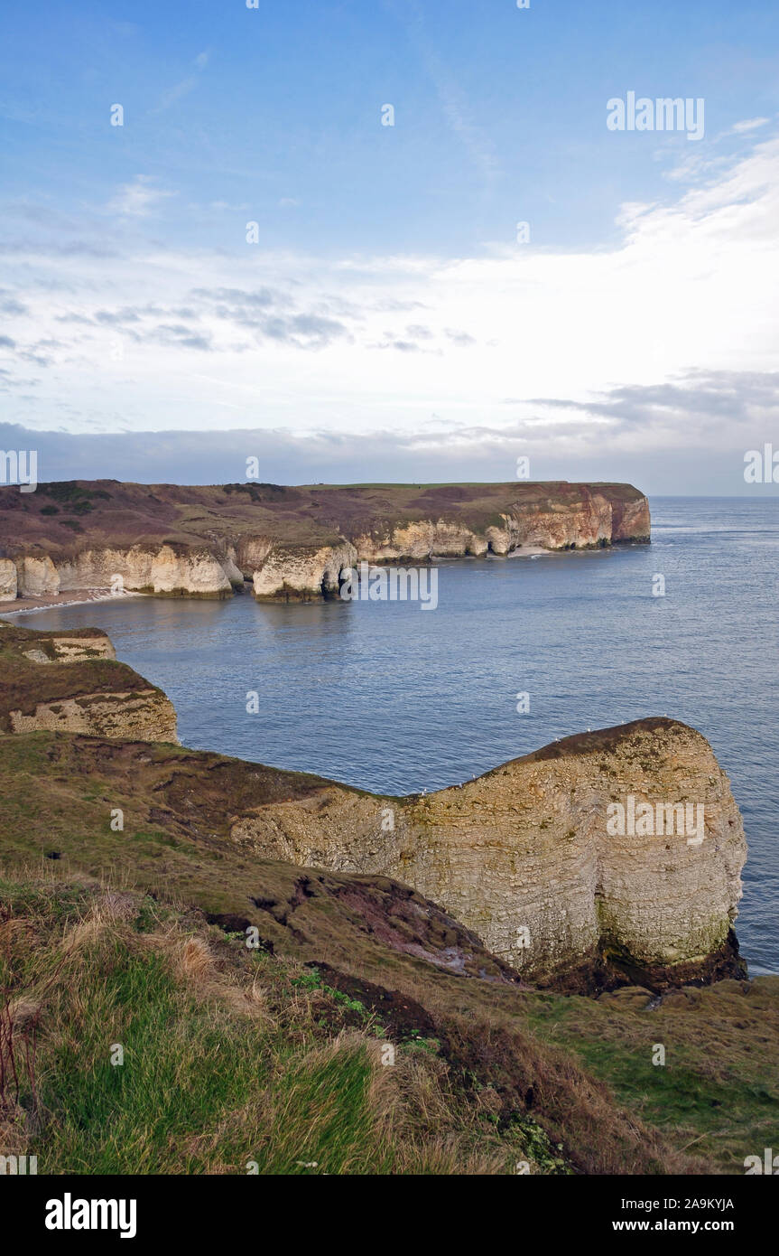 Flamborough Head, East Yorkshire Stock Photo Alamy