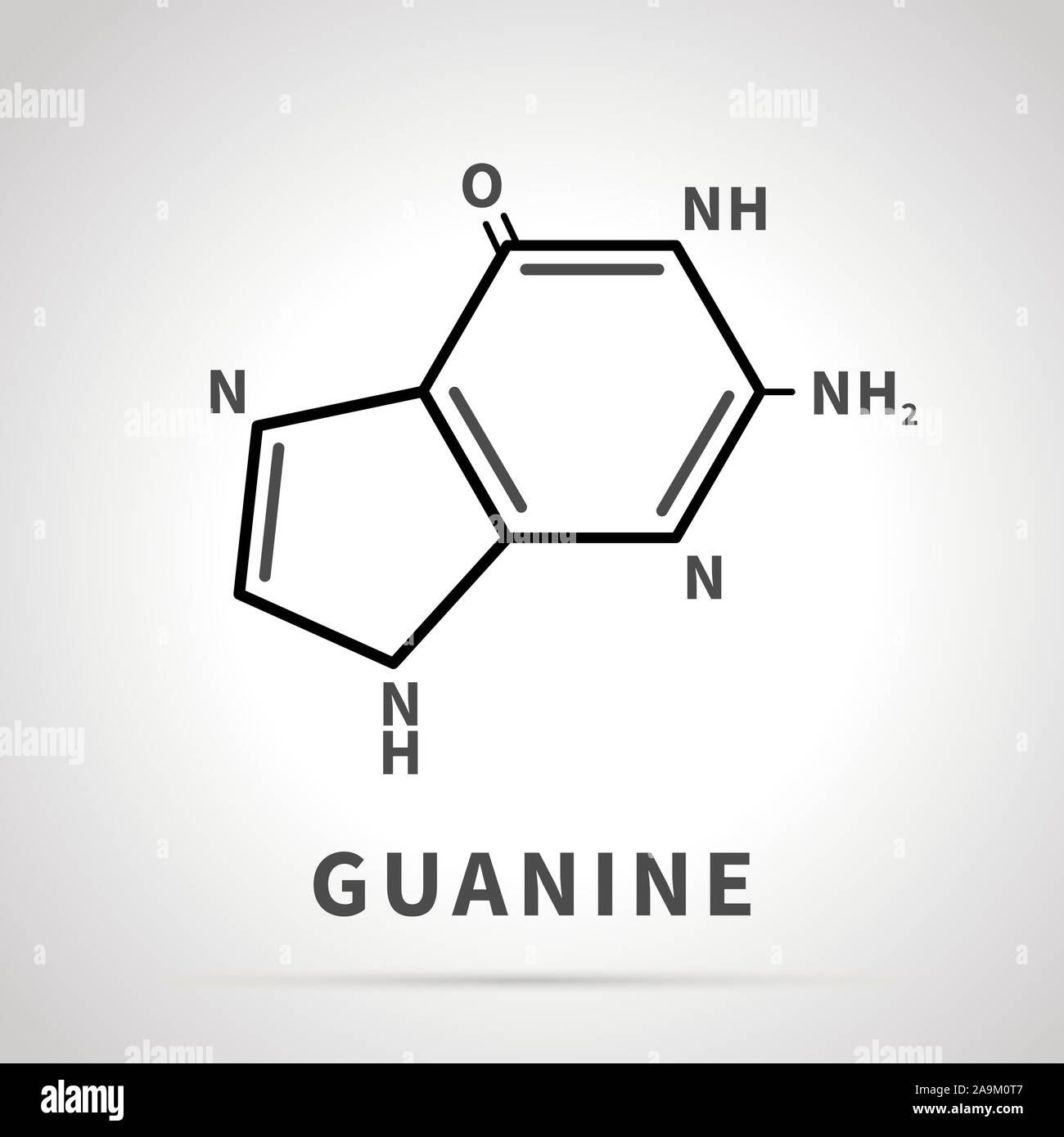 Chemical structure of Guanine, one of the four main nucleobases, simple black icon Stock Vector