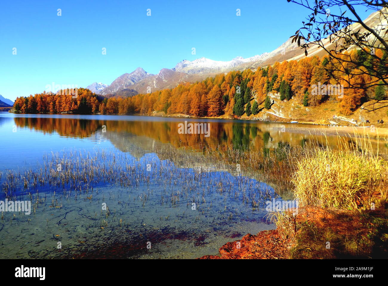 Herbststimmung am idyllischen Silsersee im Oberengadin Stock Photo