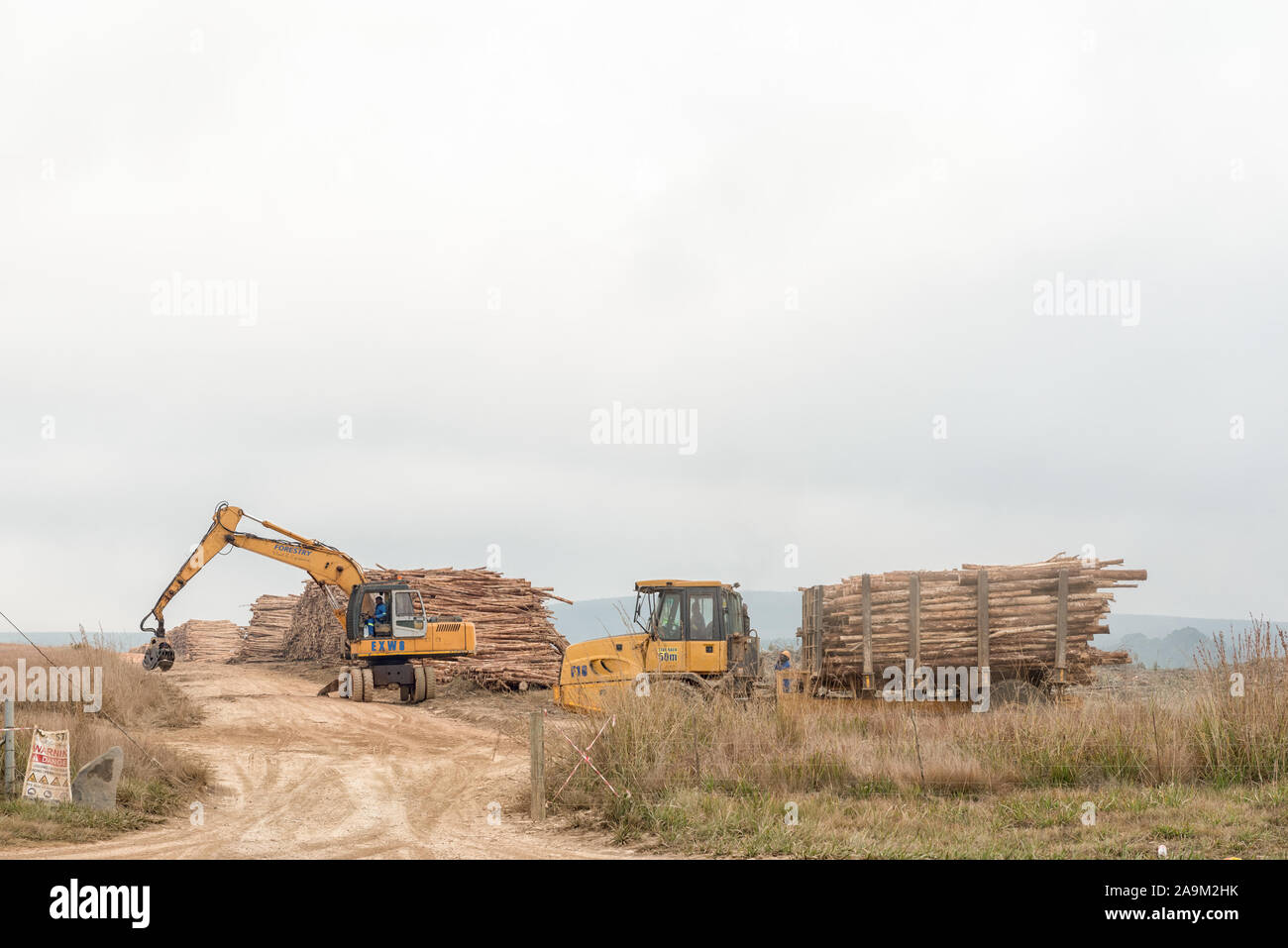 African logging hi-res stock photography and images - Alamy
