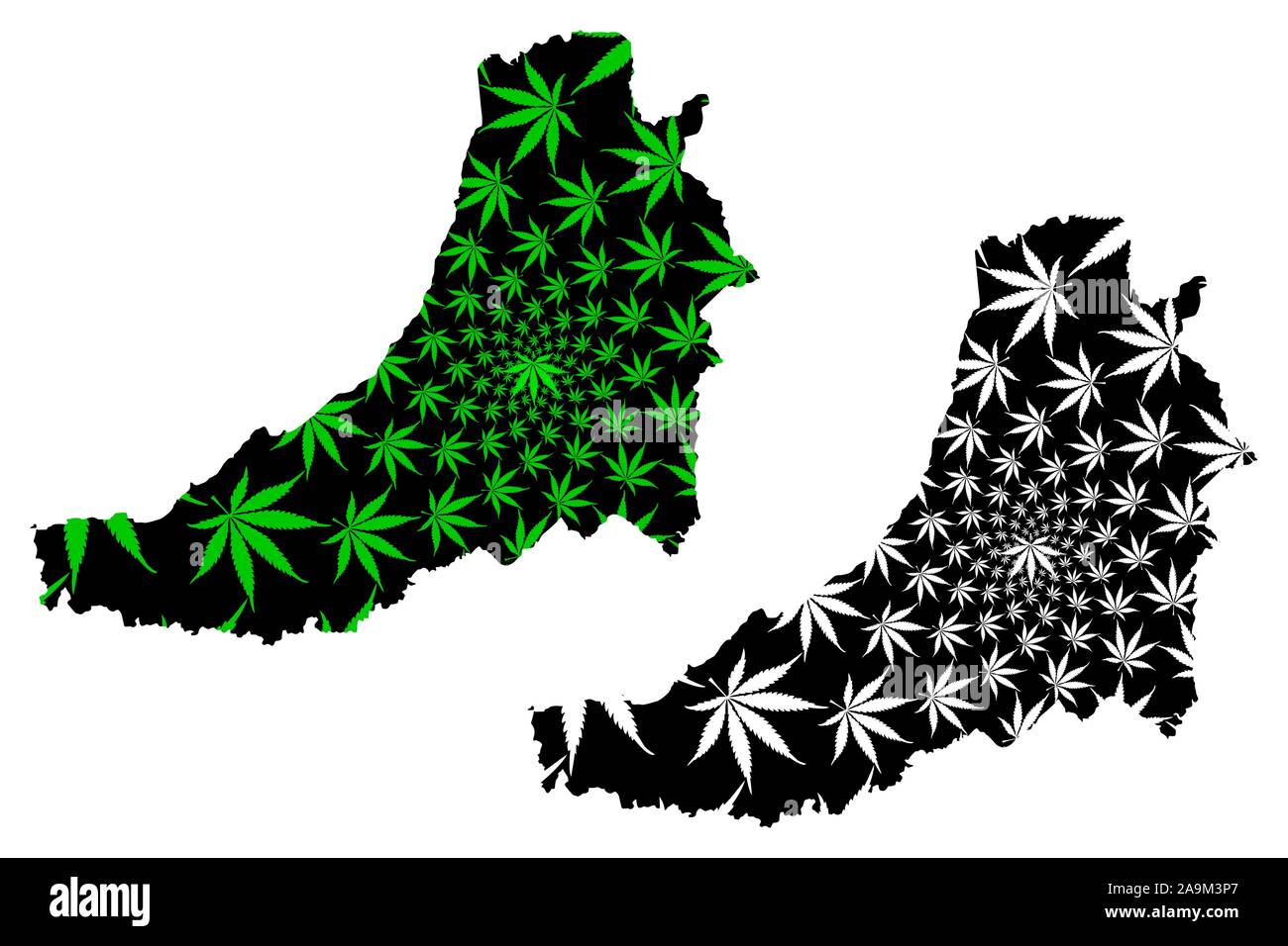 Ceredigion (United Kingdom, Wales, Cymru, Principal areas of Wales) map is designed cannabis leaf green and black, Cardiganshire map made of marijuana Stock Vector