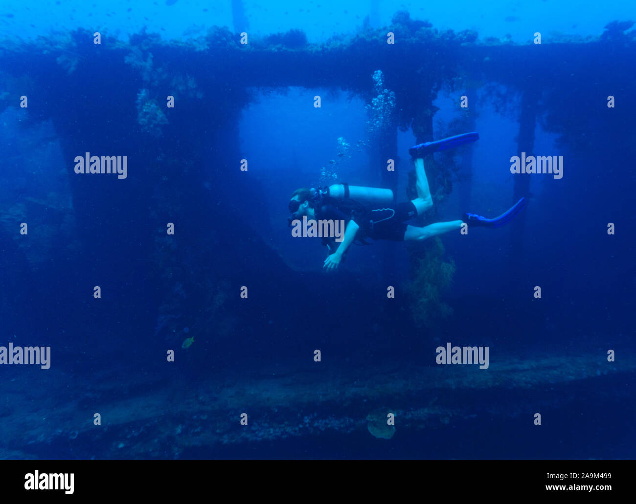 A Scuba Diver diving in the USAT Liberty Shipwreck in Tulamben, Bali Stock Photo