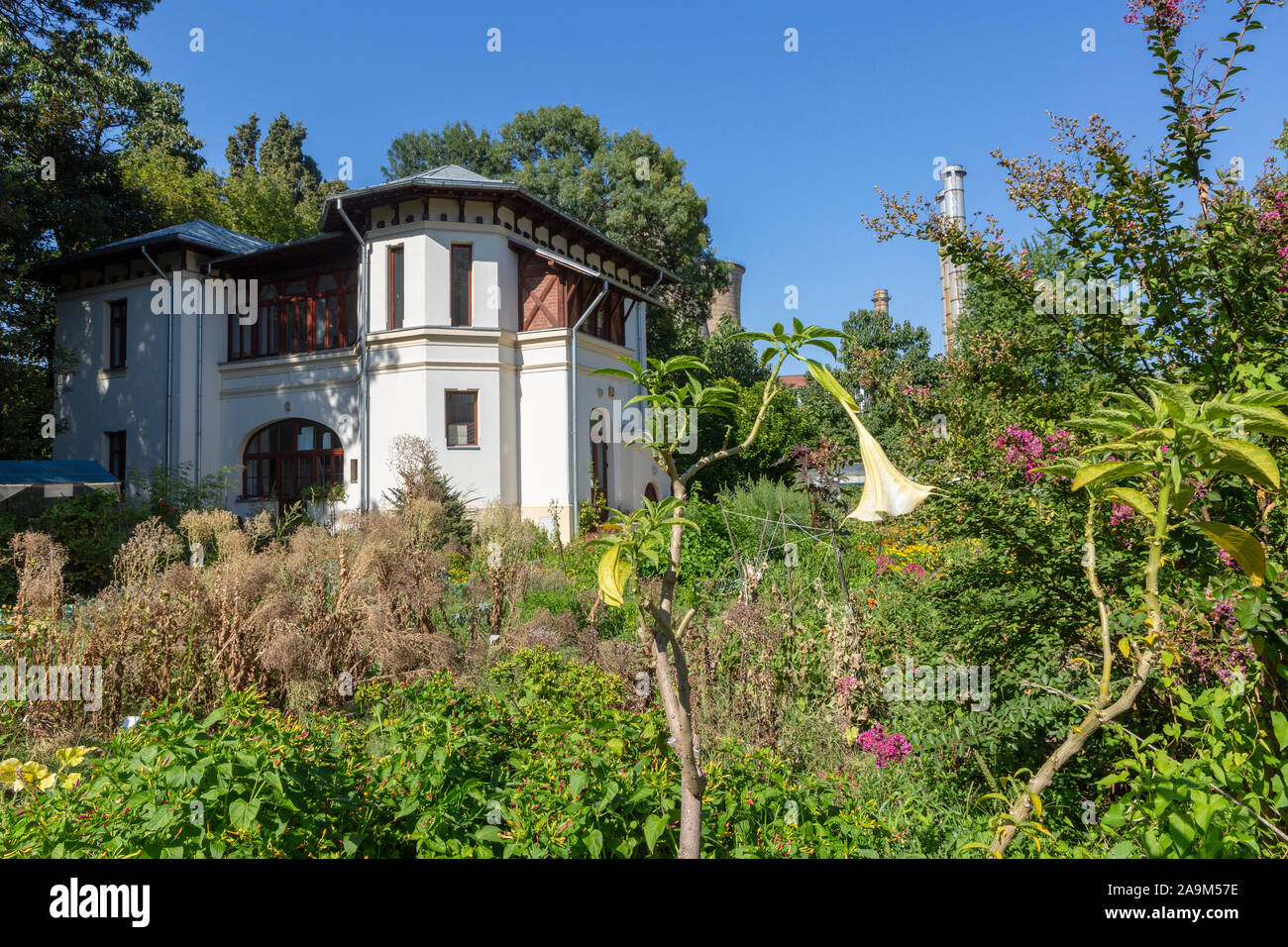 Botanical Gardens in Bucharest Stock Photo - Alamy