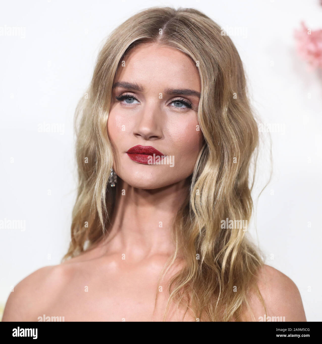 HOLLYWOOD, LOS ANGELES, CALIFORNIA, USA - NOVEMBER 15: Model Rosie