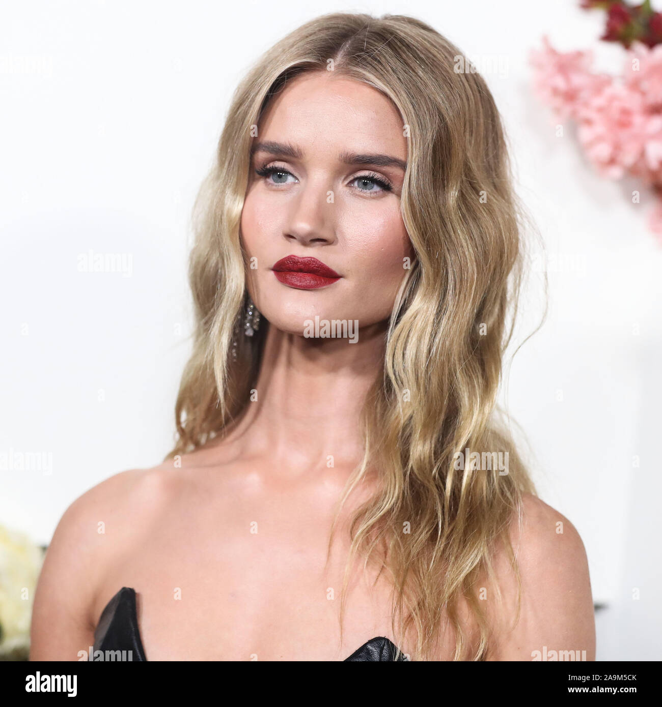HOLLYWOOD, LOS ANGELES, CALIFORNIA, USA - NOVEMBER 15: Model Rosie