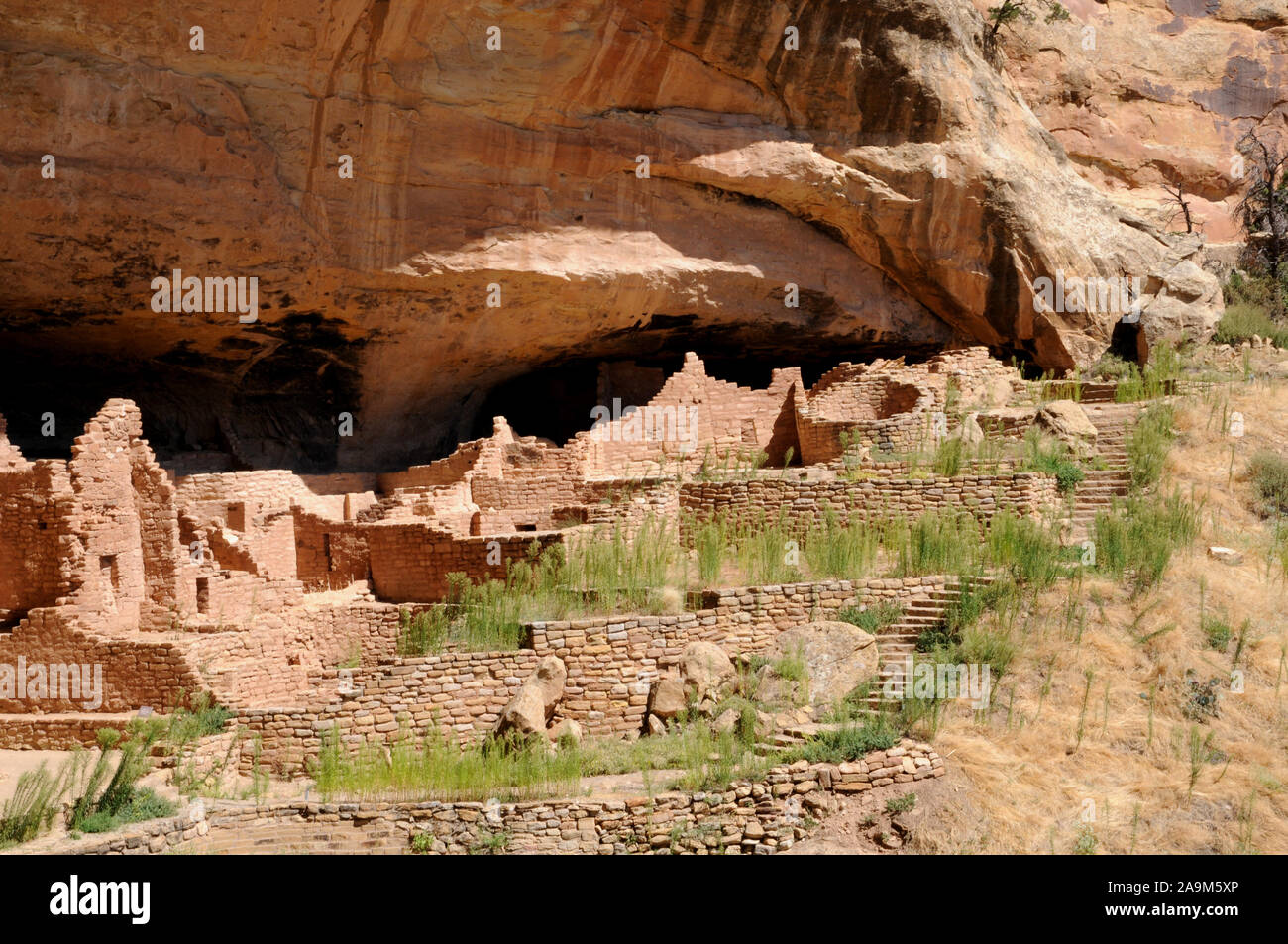 The cliff dwelling known as The Long House in the Wetherill Mesa sector ...