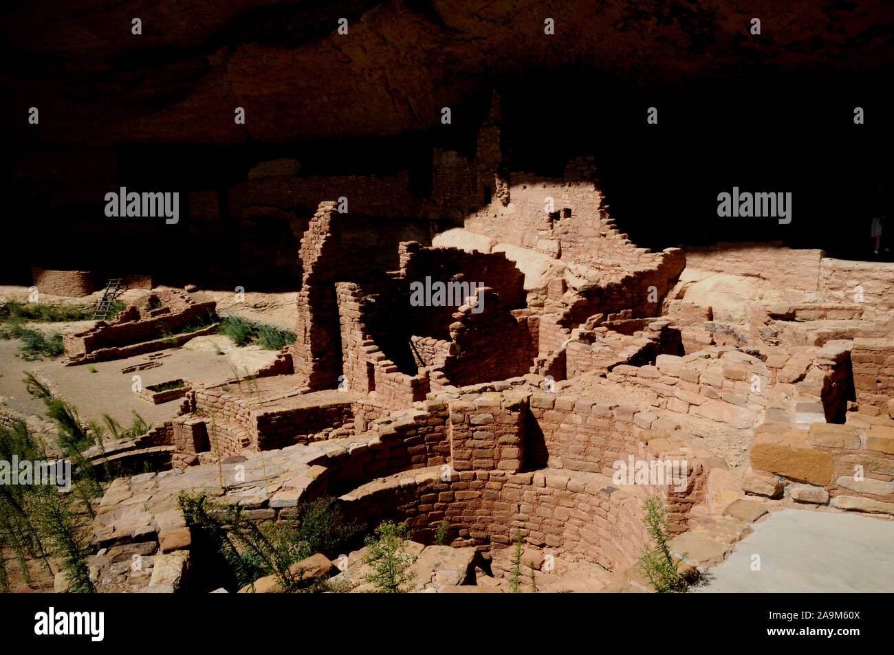 The cliff dwelling known as The Long House in the Wetherill Mesa sector ...