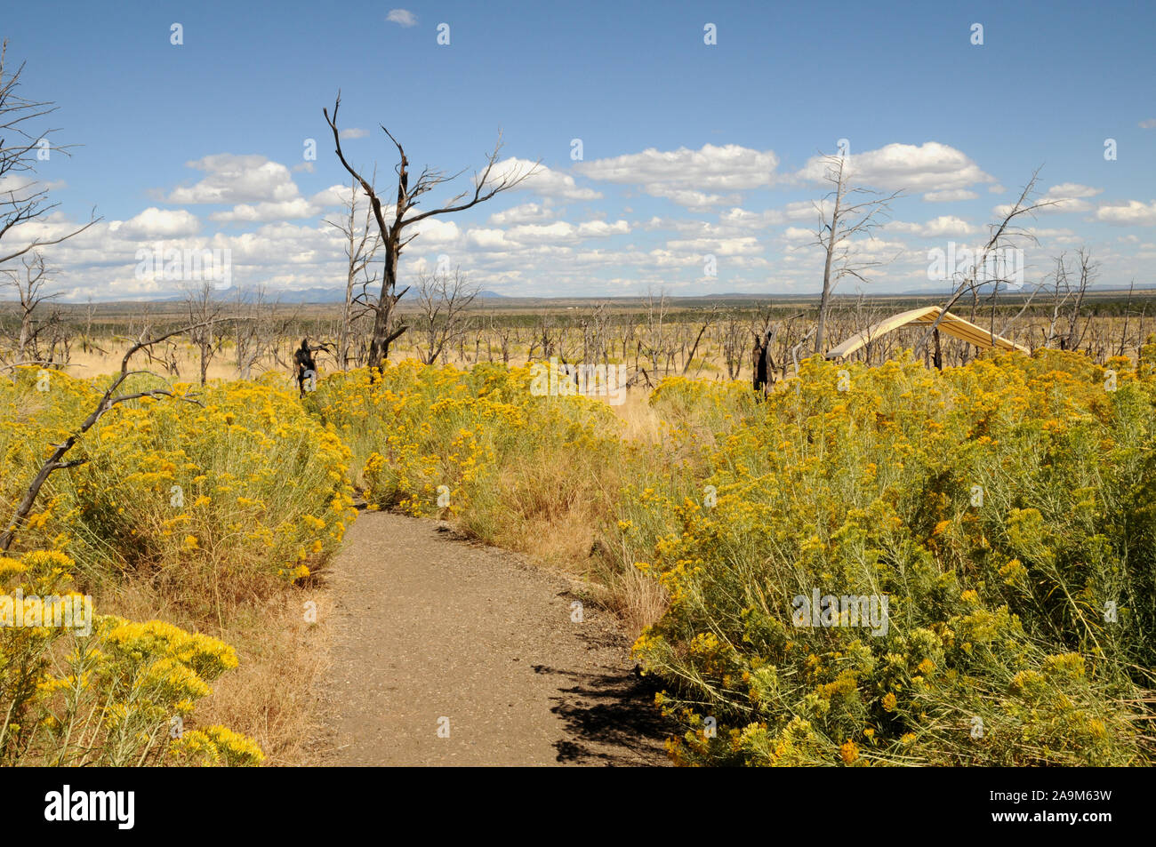 Badger House Trail at Wetherill Mesa, Mesa Verde National Park. The