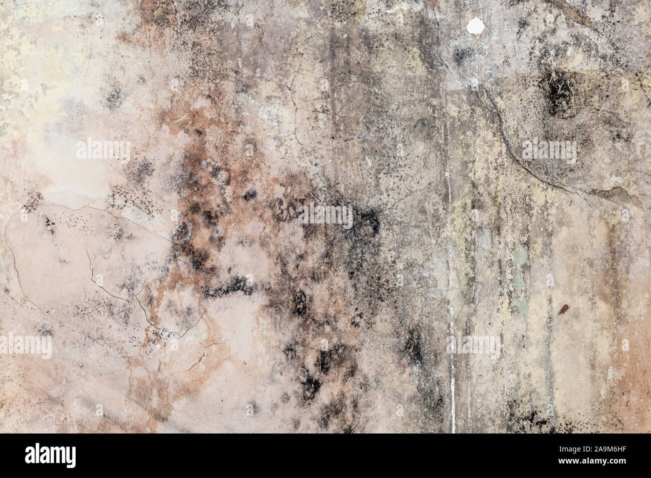 Damp wall. Interior wall of a house with old plaster and mould growing on it, England, UK Stock Photo