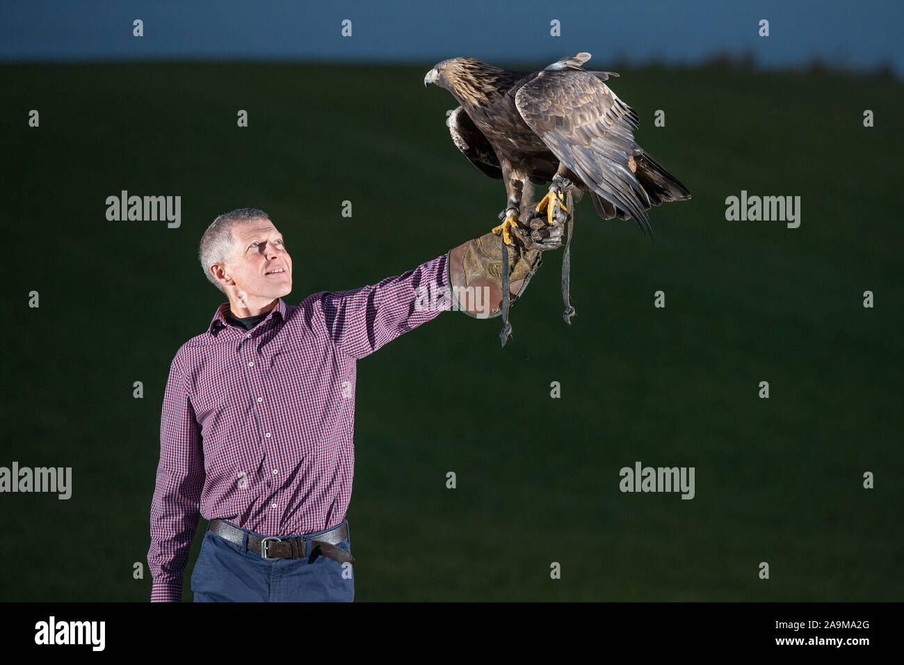 Glasgow, UK. 16 November 2019.   Pictured: Willie Rennie MSP - Leader of the Scottish Liberal Democrat Party.  Scottish Liberal Democrat Leader Willie Rennie visits the Falconry centre in Cluny to highlight the threat Brexit poses on the environment and biodiversity loss. Credit: Colin Fisher/Alamy Live News Stock Photo