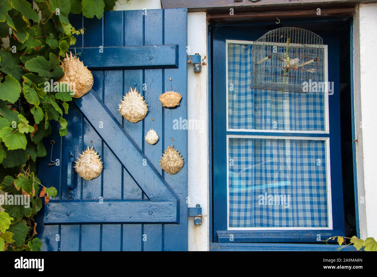 wooden blue window with hanging ropes in the old port of Biarritz Stock Photo