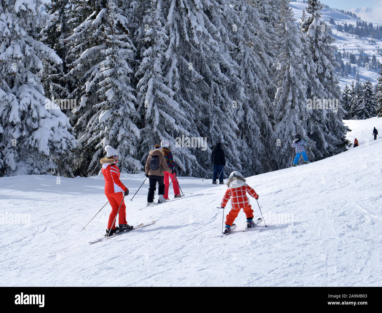 Pin's Ski Les Saisies (Savoie, France) - Martineau Saumur, Vintage