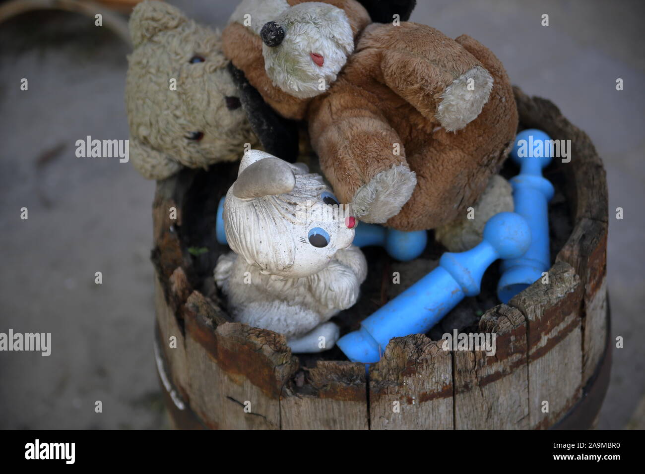 Old dirty abandoned plush toys like teddy bears, blue pieces of bowling, in wooden barrel, thrown away like waste, top view. Stock Photo