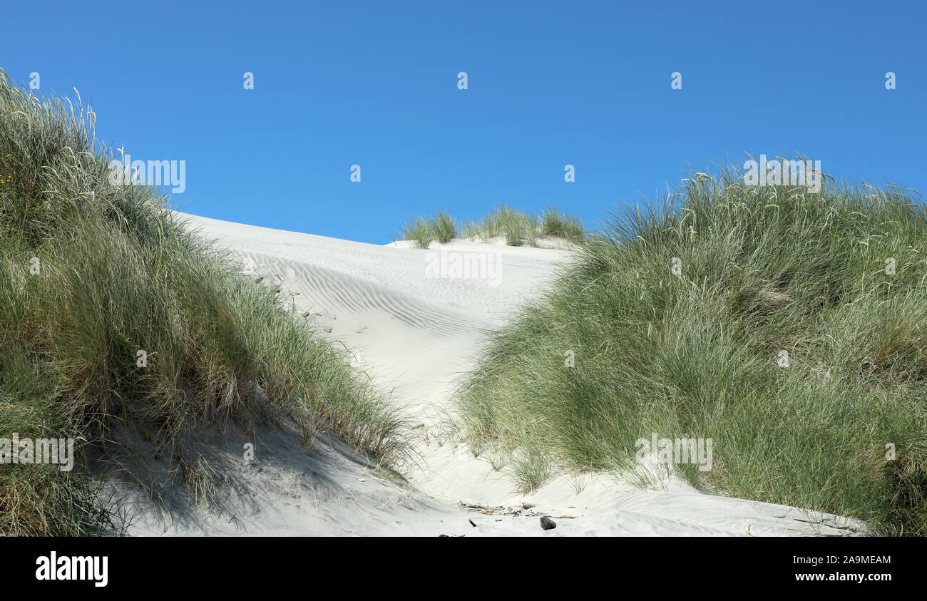 Beach Sand Dune Sea Farewell Spit in New Zealand Stock Photo