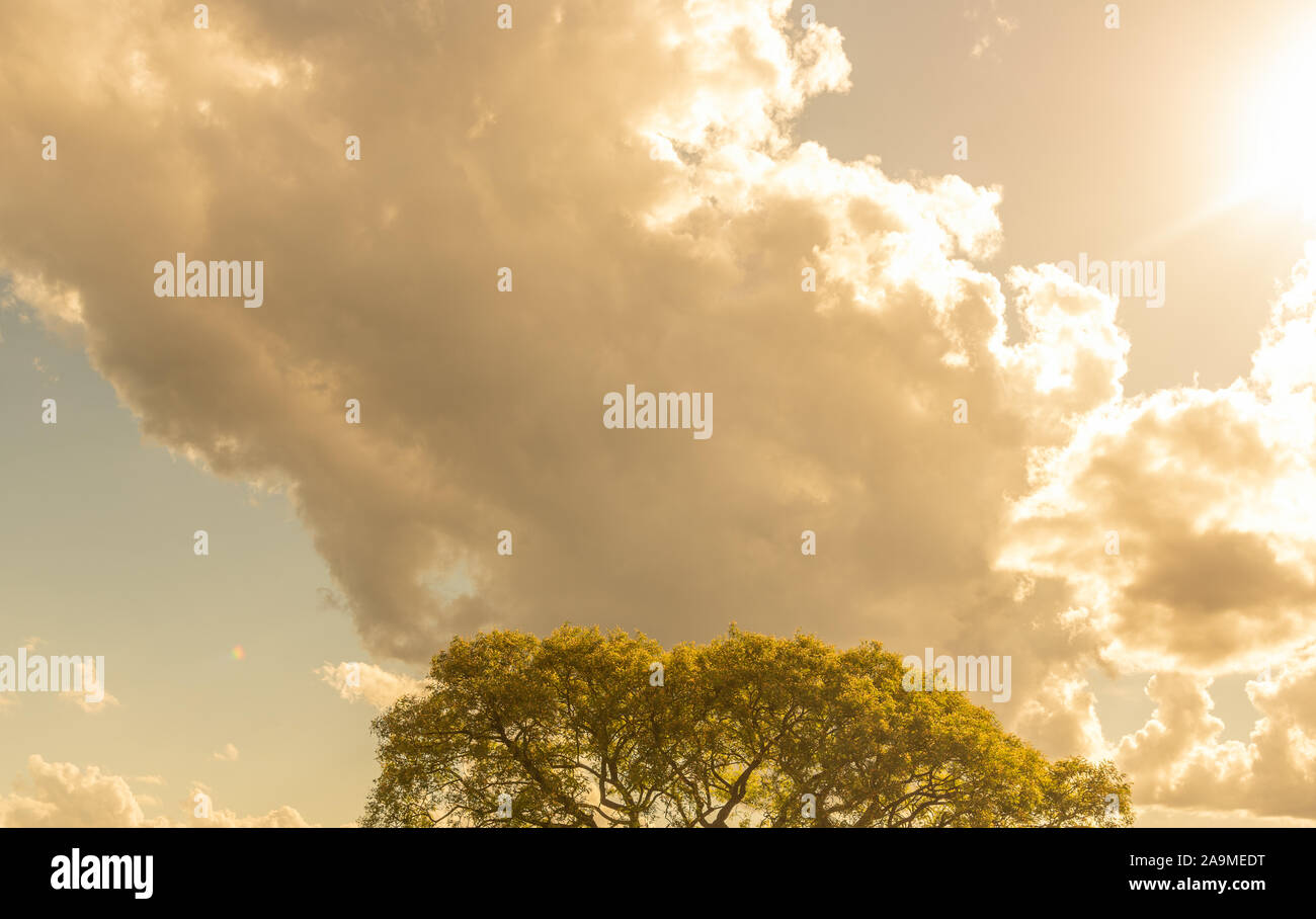 Landscape. Heavy and heavy clouds that foretell the arrival of rain ...