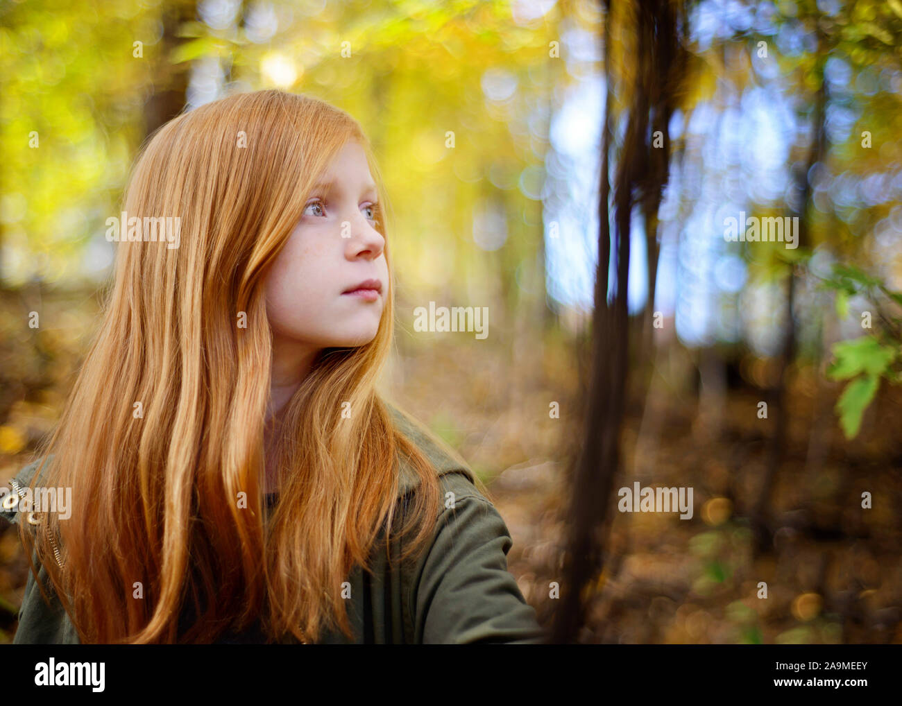 Beautiful Red Haired Girl in the Woods Stock Photo - Alamy