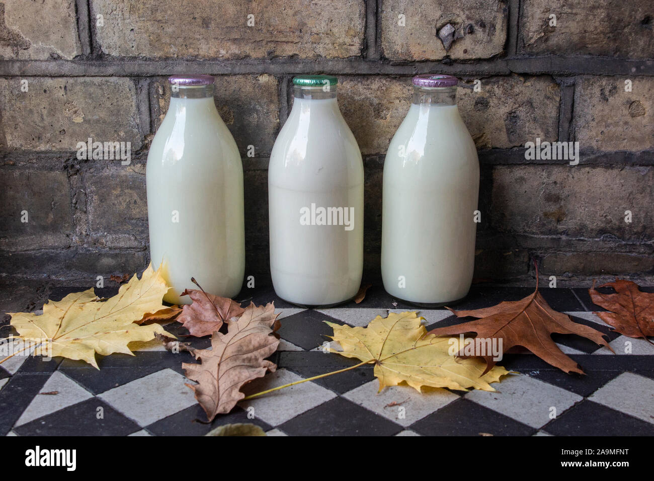 Milk bottles on a doorstep with autumnal leaf fall Stock Photo Alamy