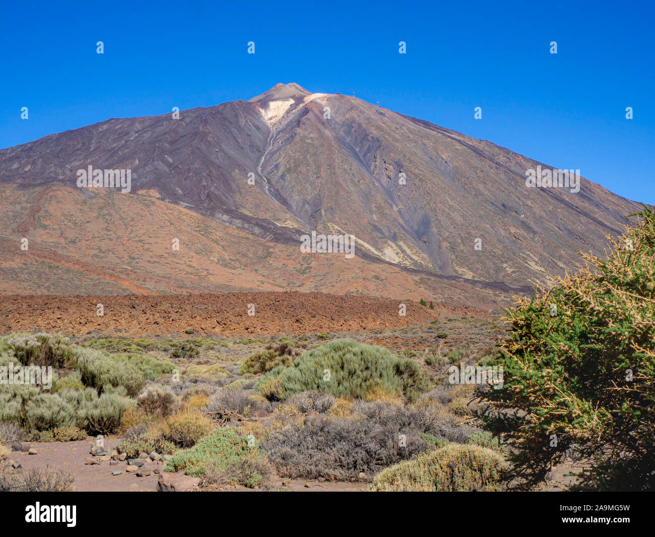 Teide National Park in Tenerife with a great view of Mount Teide volcano, Canary Islands, Spain Stock Photo