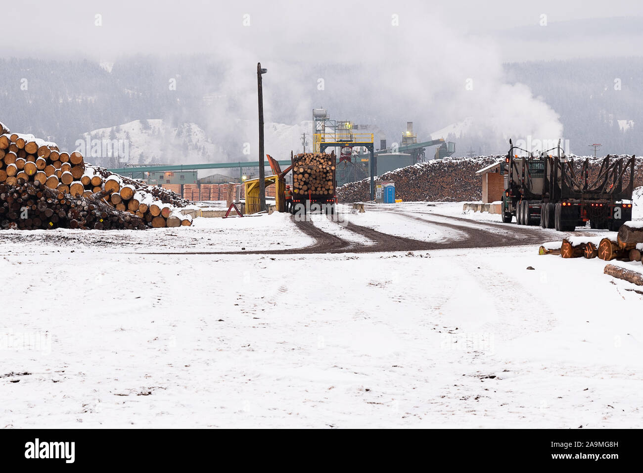 Winter Sawmill In British Columbia Canada Stock Photo Alamy winter-sawmill-in-british-columbia-canada-stock-photo-alamy