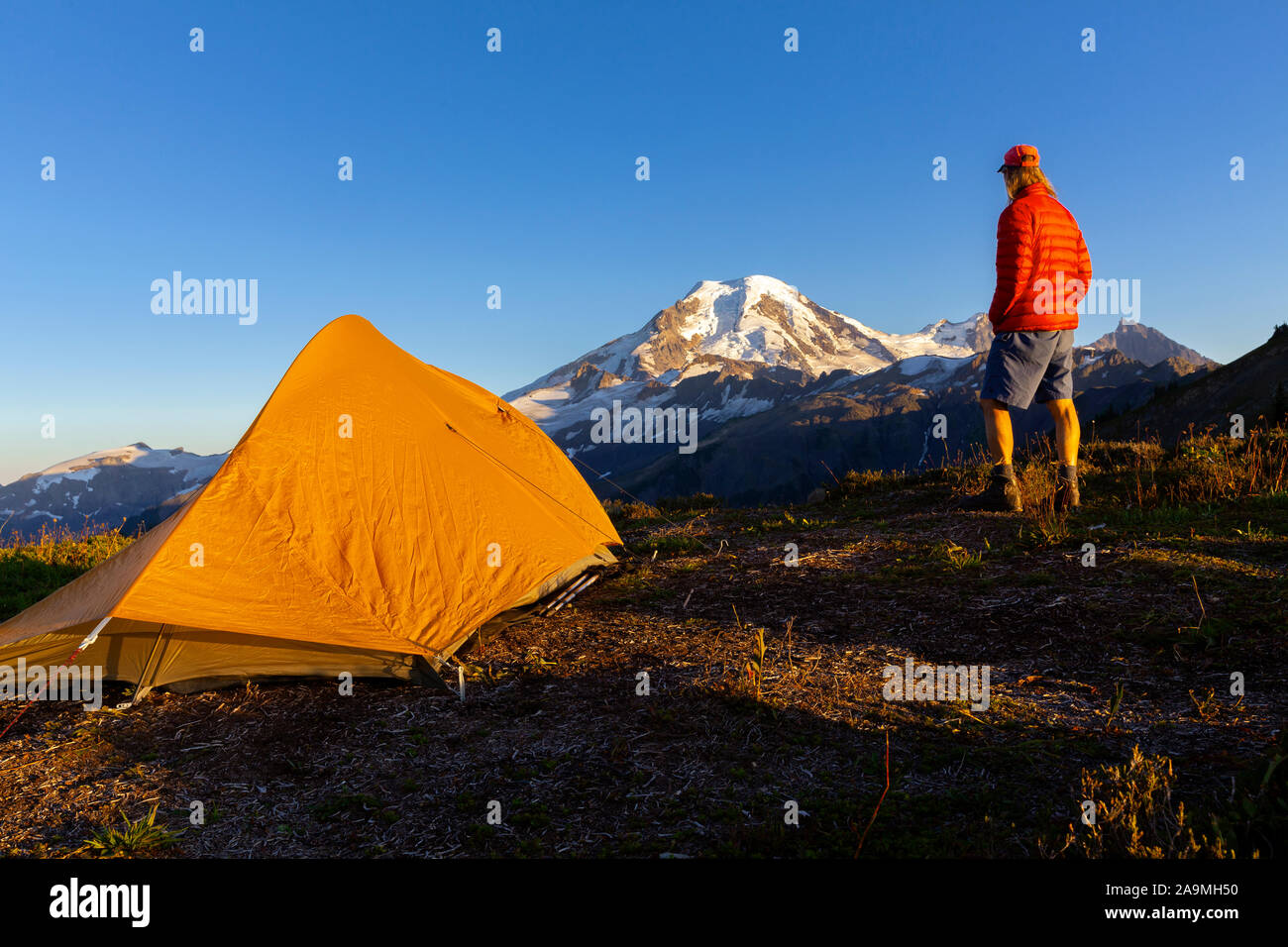 WA17304-00...WASHINGTON - Campsite on Skyline Divide in the Mount Baker Wilderness, Mt Baker Snoqualime National Forest. Mount Baker is in the distanc Stock Photo