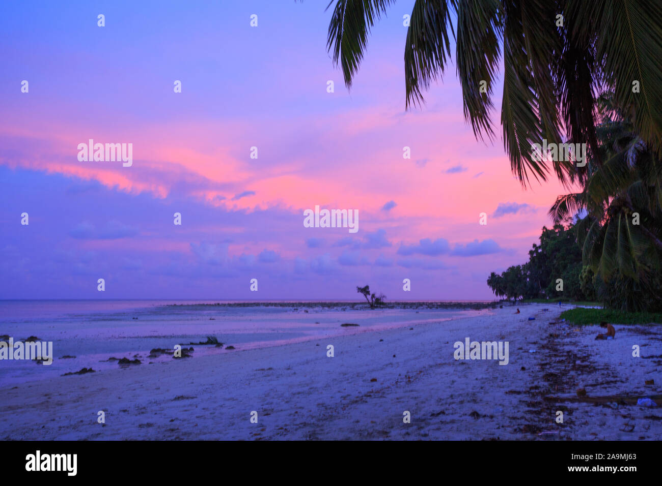 Sunset view at Havelock Island (Andaman, India) Stock Photo