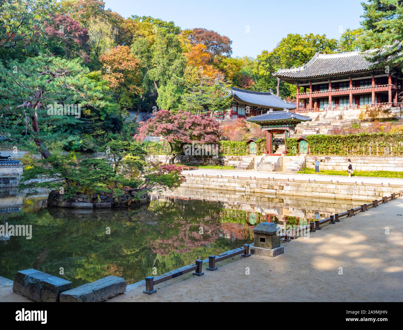 SEOUL, SOUTH KOREA - OCTOBER 31, 2019: visitor near Juhamnu building and Buyeongji pond in Huwon Secret Rear Garden of Changdeokgung Palace Complex in Stock Photo