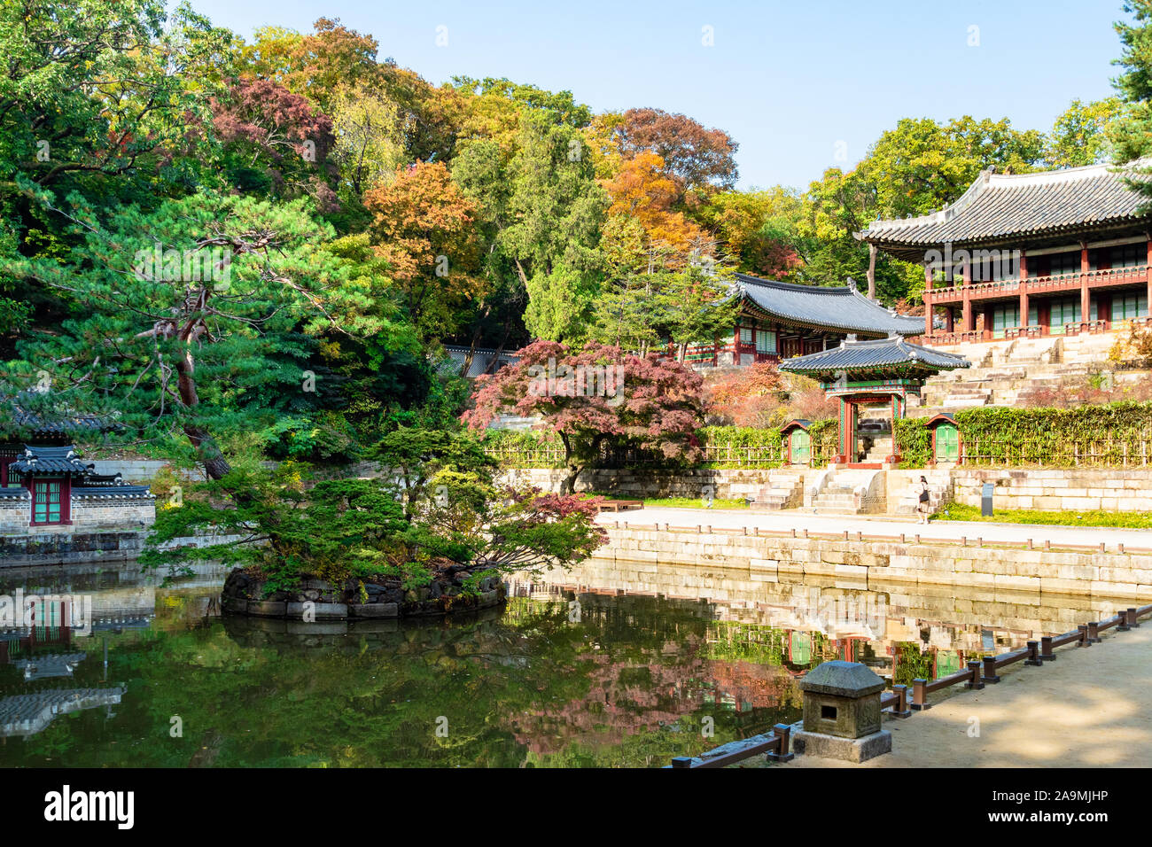 SEOUL, SOUTH KOREA - OCTOBER 31, 2019: tourist near Juhamnu hall and Buyeongji pond in Huwon Secret Rear Garden of Changdeokgung Palace Complex in Seo Stock Photo