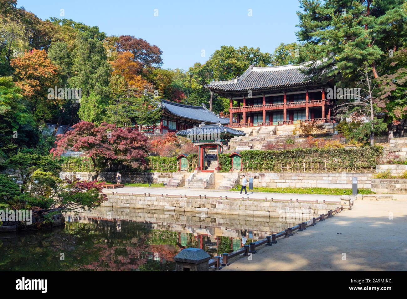 SEOUL, SOUTH KOREA - OCTOBER 31, 2019: tourist near Juhamnu Palace and Buyeongji pond in Huwon Secret Rear Garden of Changdeokgung Palace Complex in S Stock Photo