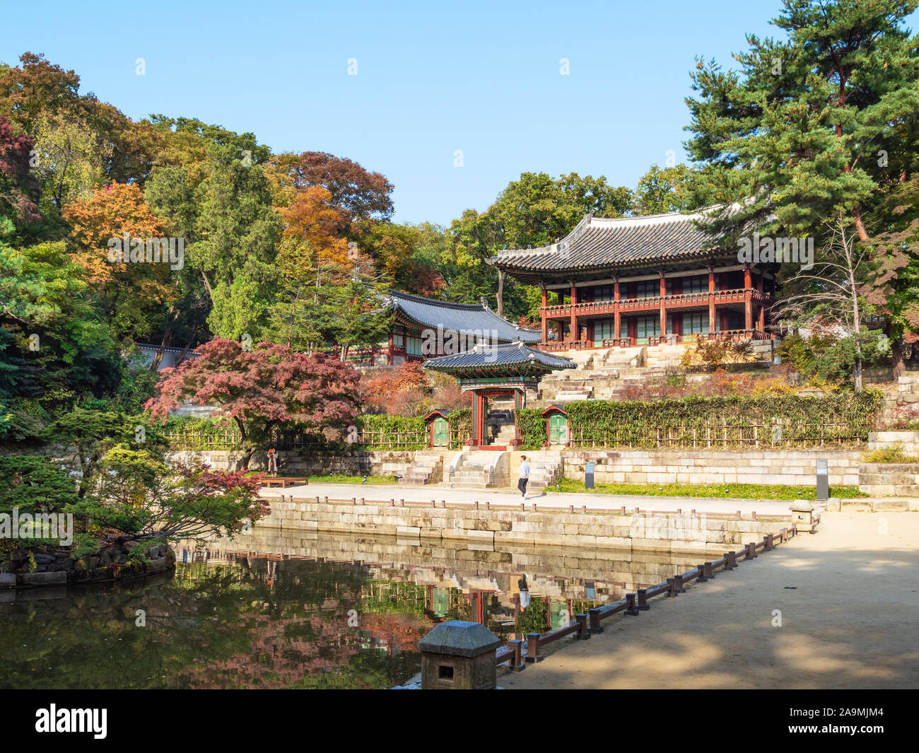 SEOUL, SOUTH KOREA - OCTOBER 31, 2019: visitor near Juhamnu house and Buyeongji pond in Huwon Secret Rear Garden of Changdeokgung Palace Complex in Se Stock Photo
