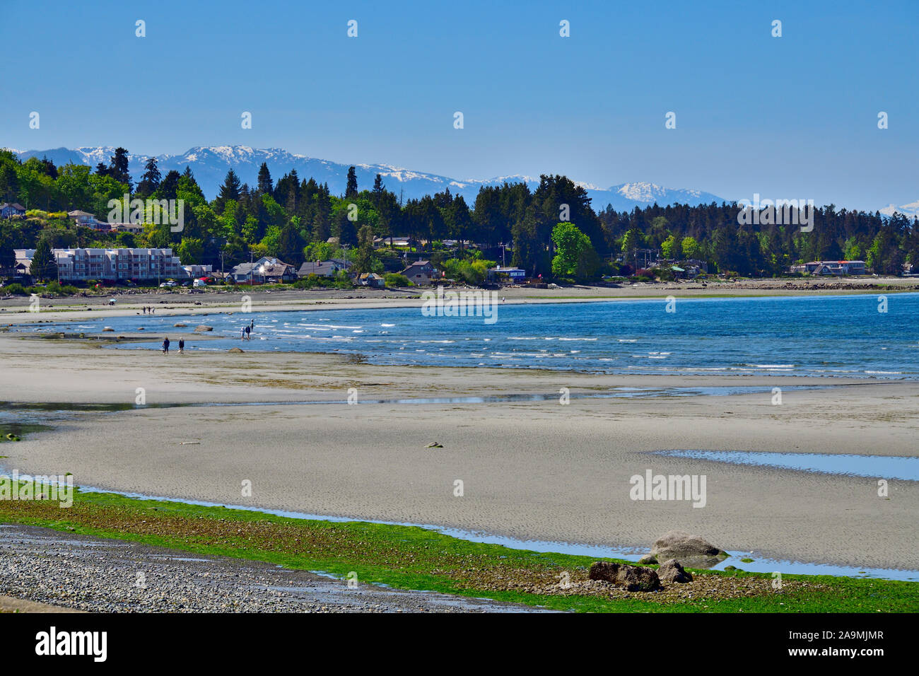 People enjoying a beautiful spring day relaxing and playing on Qualicum Beach on Vancouver Island British Columbia Canada. Stock Photo