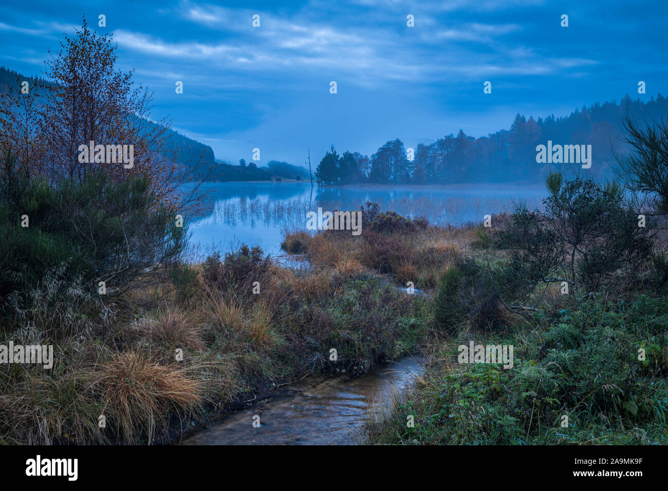 An eerie 2 shot HDR autumnal image of Loch Pityoulish in the Cairngorms National Park, Badenoch and Strathspey, Scotland. 06 November 2019 Stock Photo