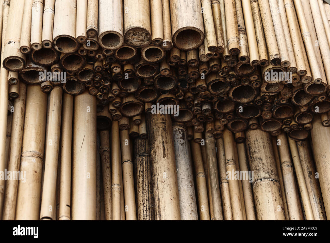 A Close Image Of A Slice Of Dry Bamboo Texture Wallpaper Stock Photo Alamy