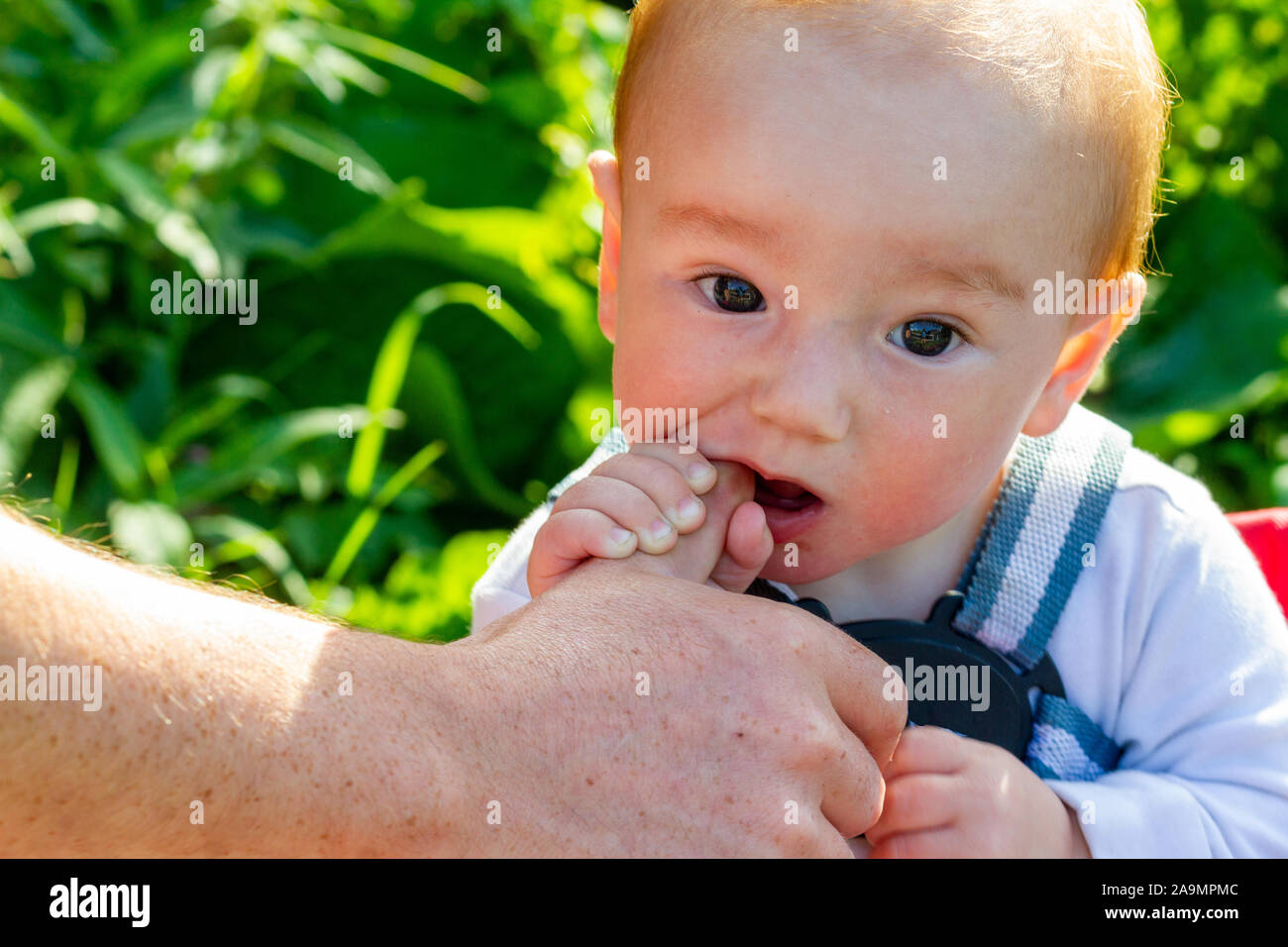 Little boy chewing on this father's thumb Stock Photo