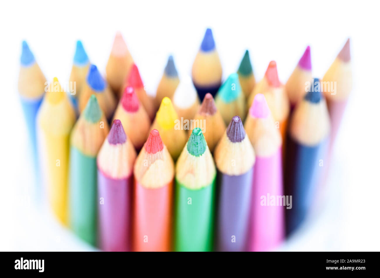 bright vibrant colored pencils in line on white background Stock Photo