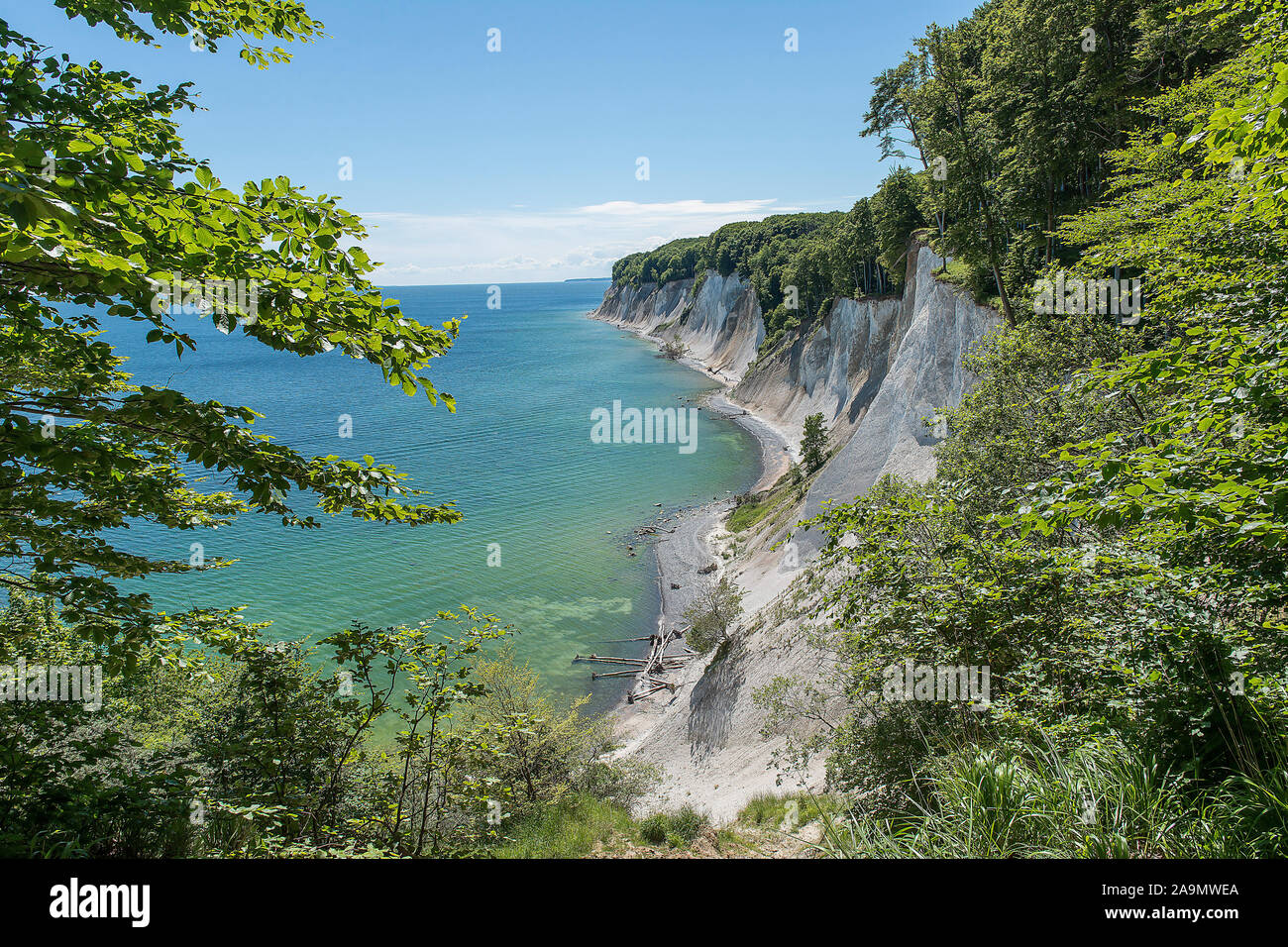 Kreidefelsen mit Rotbuchenwald auf Rügen Stock Photo