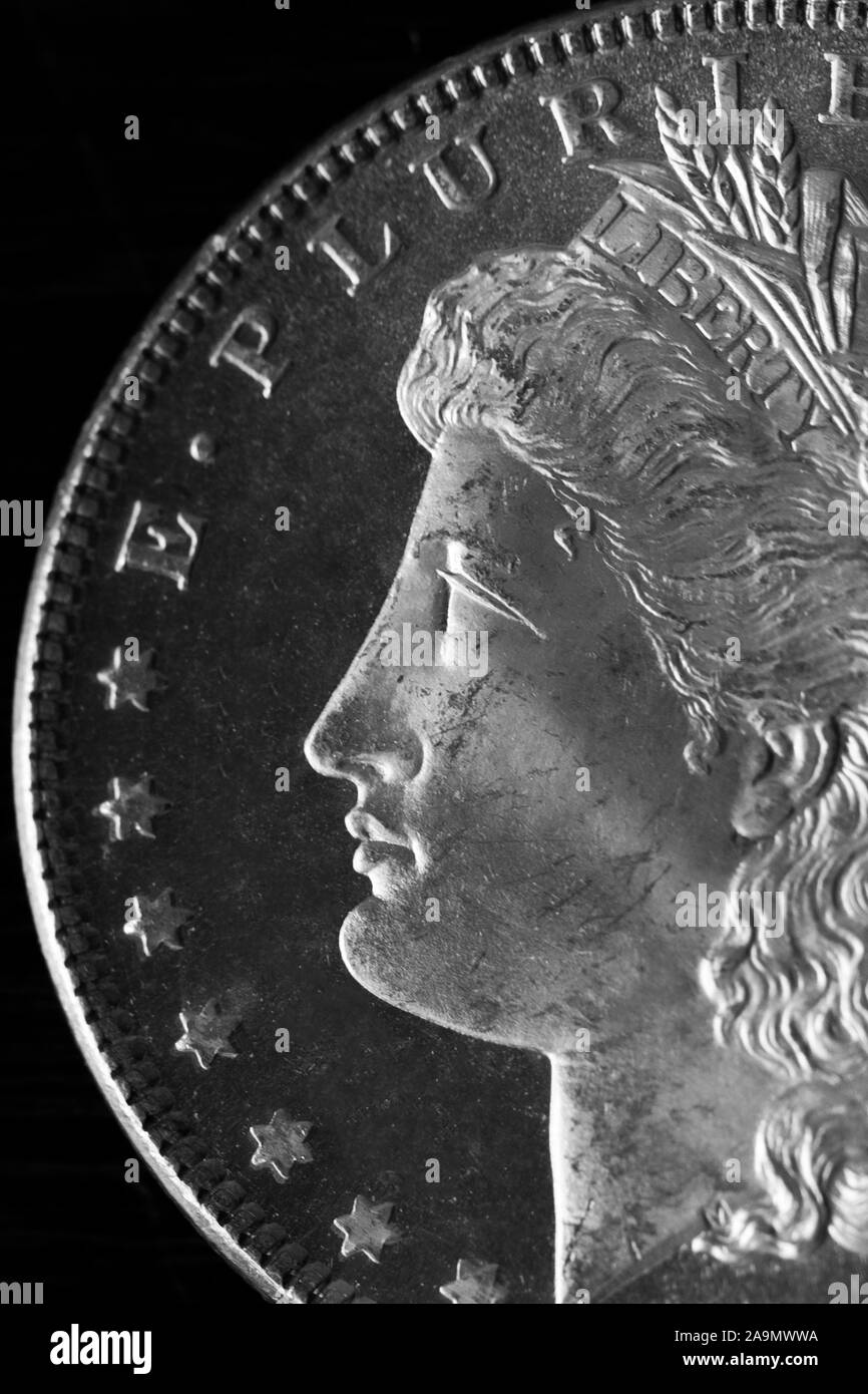 Dollar High Grade with Luster Miss Liberty Portrait in Coin