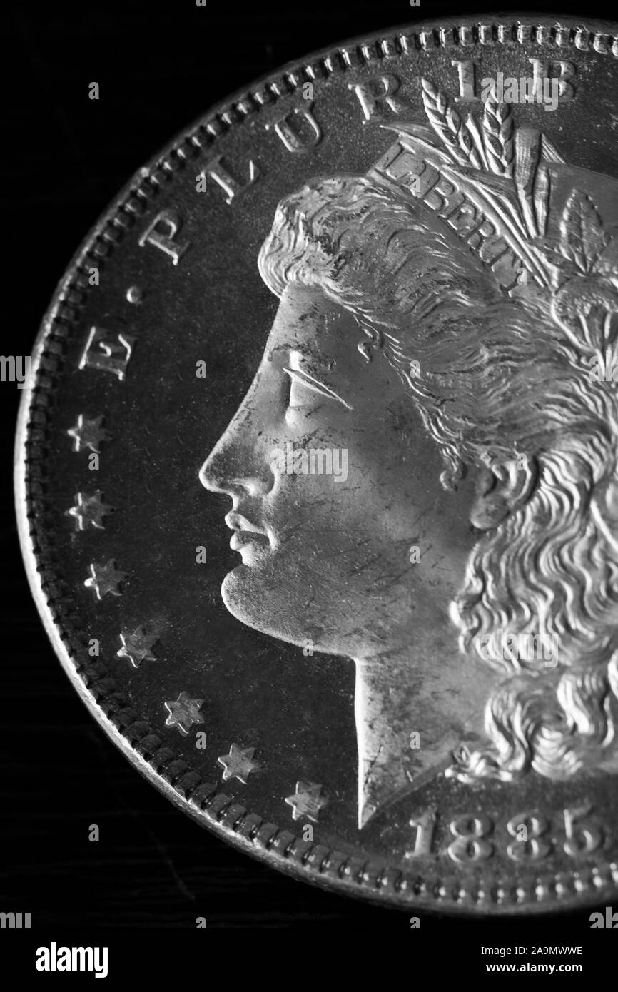 Close Up of Miss Liberty on DMPL Morgan Dollar with Rim Stock Photo