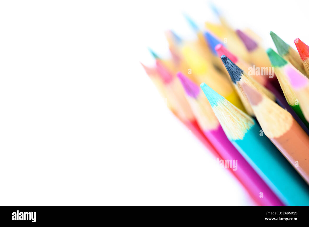 bright vibrant colored pencils in line on white background Stock Photo