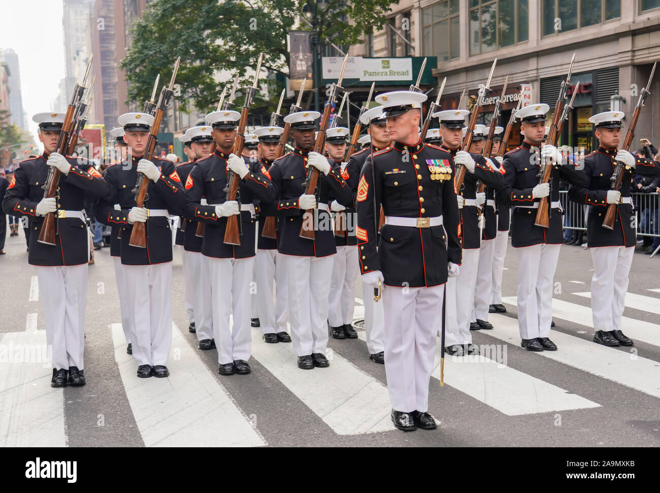 Veterans day photos free download