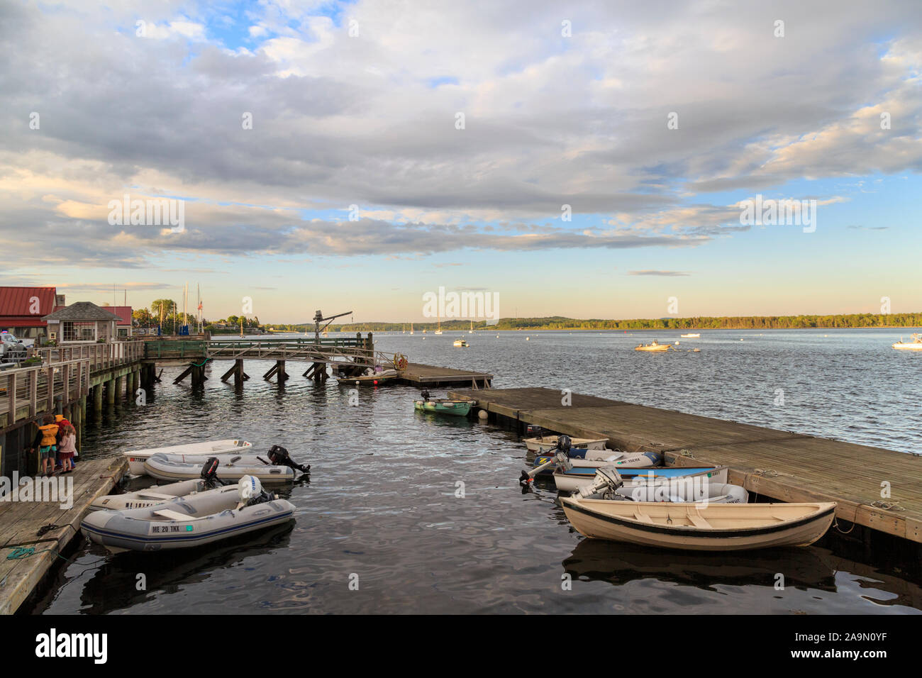 Harbor with boats and dock in summer, Castine, Maine, New England, USA