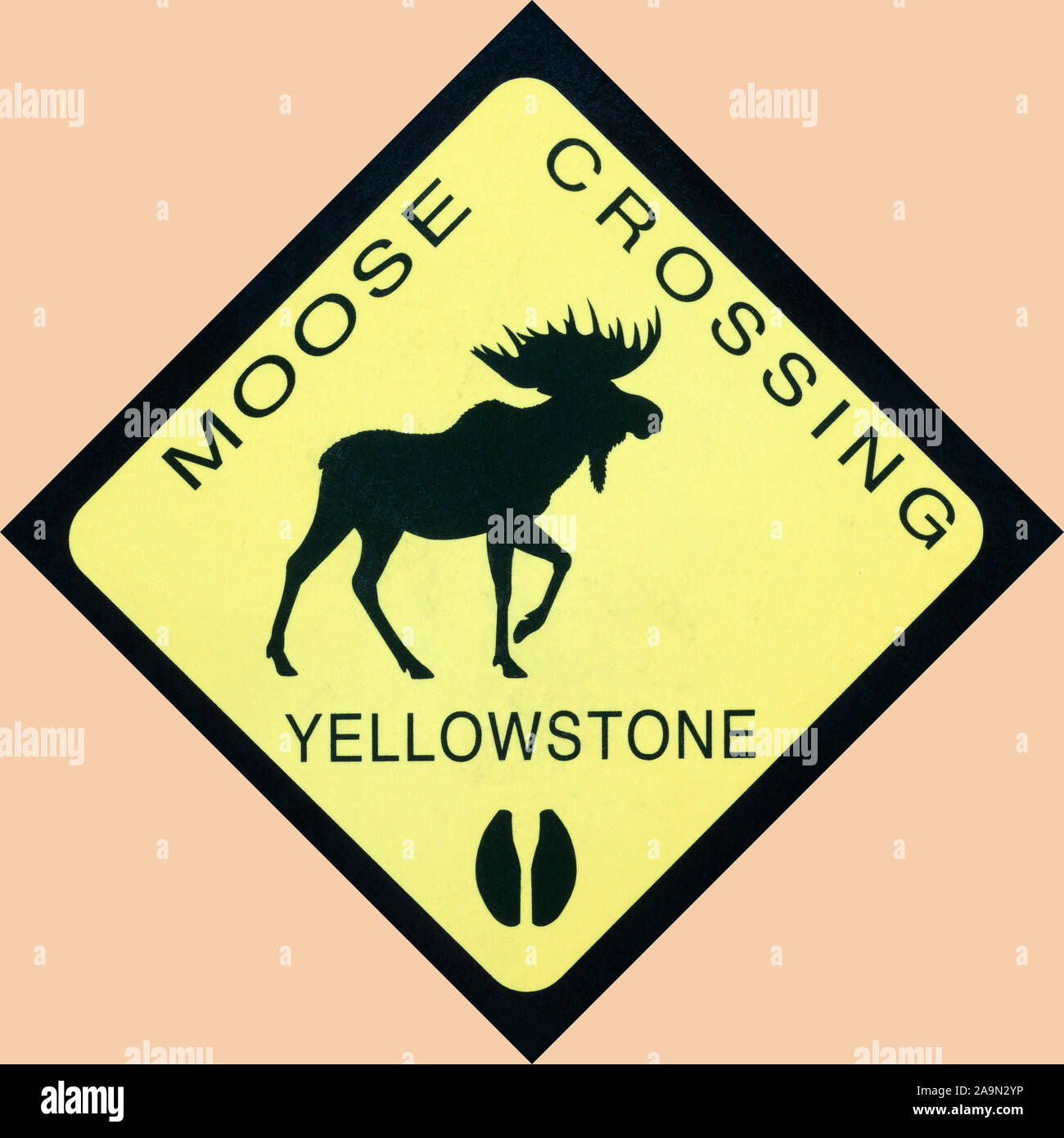 Copy of road sign warning about moose crossing in Yellowstone Stock Photo