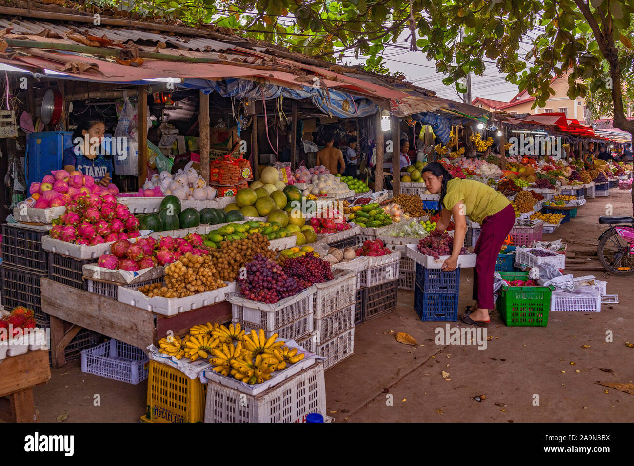 The most amazing and colourful fresh tropical fruit on sale in a street market in the World Heritage Listed Luang Prabang in Laos. South East Asia Stock Photo