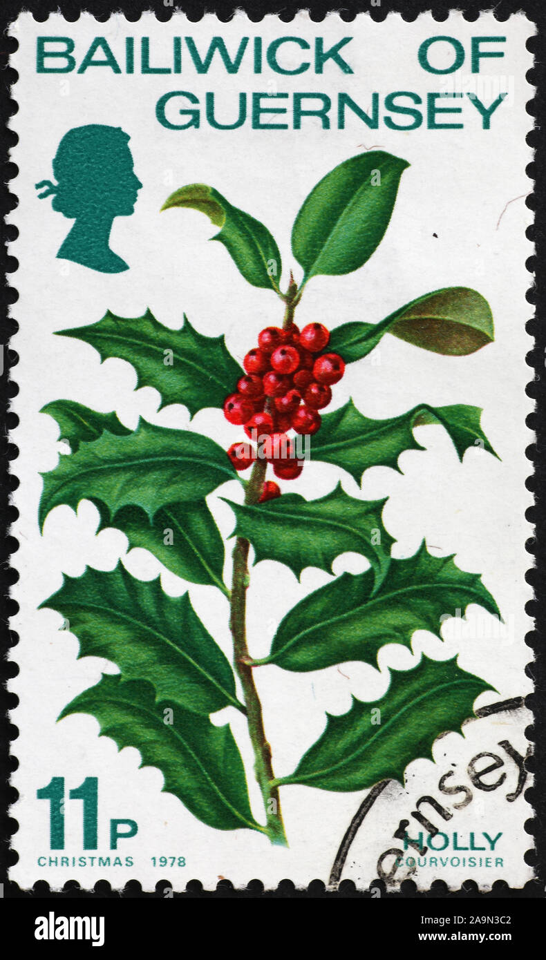 Holly on postage stamp of Jersey Stock Photo Alamy