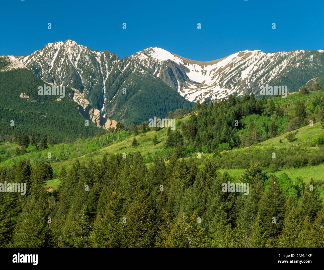 absaroka range and foothills near livingston, montana Stock Photo - Alamy