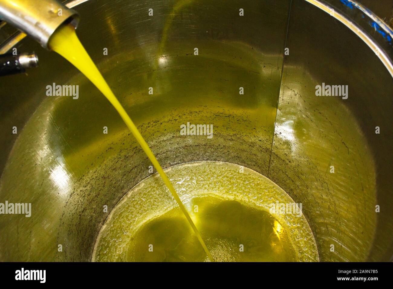 Extra virgin olive oil at the bottom of inox container during