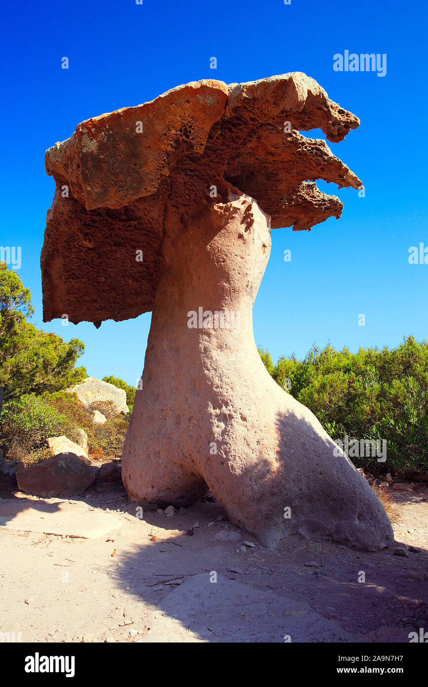 Sardinien, Italien, Steinpilz, Mushroom, Rock, Felsen Stock Photo