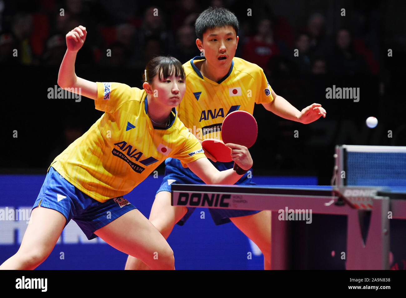 Tomokazu Harimoto (JPN), Hina Hayata (JPN), Novermber 16, 2019 - Table  Tennis : 2019 Austrian Open Mixed Doubles final at TipsArena Linz in Linz,  Austria. Credit: Itaru Chiba/AFLO/Alamy Live News Stock Photo - Alamy